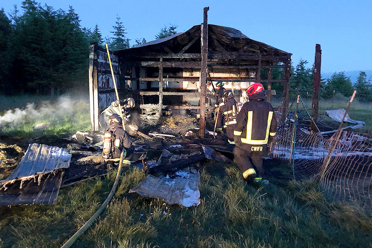 Chicks perish, goats escape in barn fire Tuesday morning