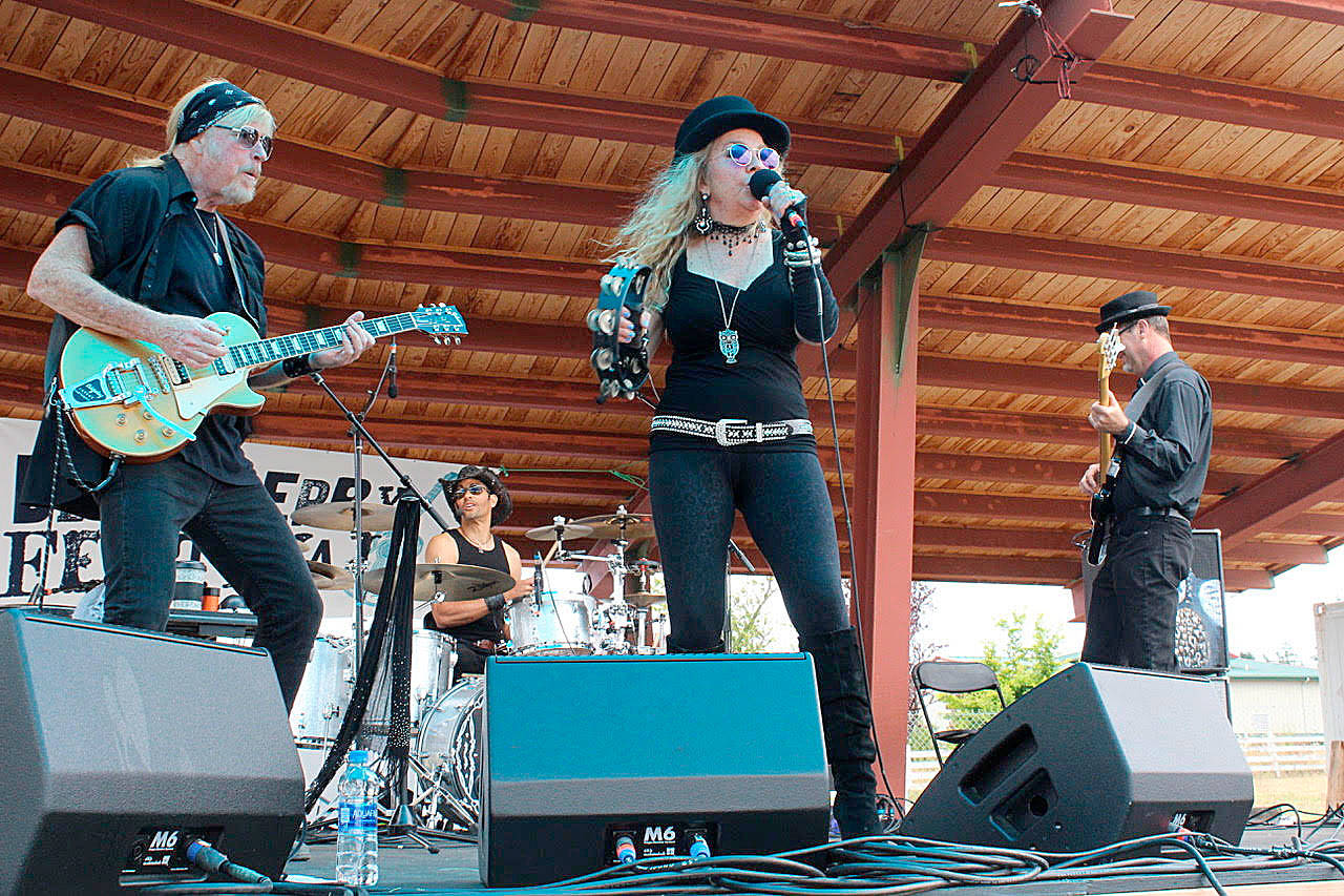 Joe Reggiatore on guitar, left, Kevin Holden on drums, Janie Cribbs, lead vocals and Dave Willis on bass perform at Bluesberry Festival on July 27. Photo by Patricia Guthrie