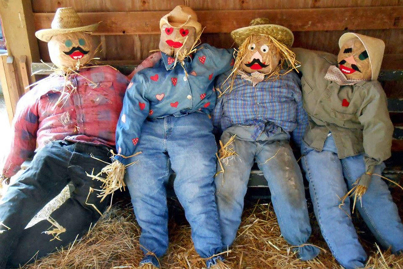 Make a scarecrow this weekend at the Whidbey Island Fairgrounds