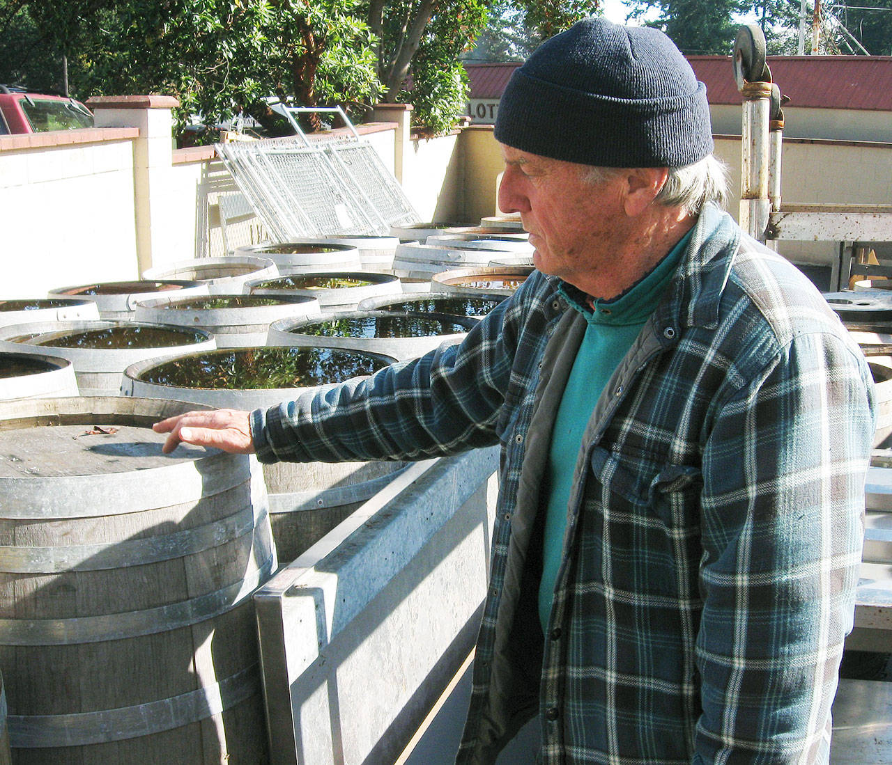 At the production facility of Britt’s Pickles in Clinton, owner Britt Eustis looks over the remaining inventory of oak barrels. The barrels, previously used for pickle-making, will be sold as the business closes. Photo by Dave Felice
