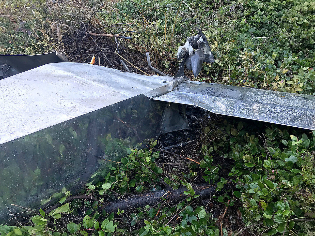 Photo provided by Island County Sheriff’s Office                                 A Langley man in a single-seat kit aircraft crashed Friday afternoon after his plane lost power while in the process of landing at Whidbey Airpark on South Whidbey.