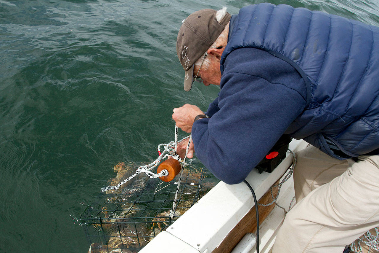 Jerry Solie pulls up a crab pot in Marine Area 8-2. Photo by Mike Benbow