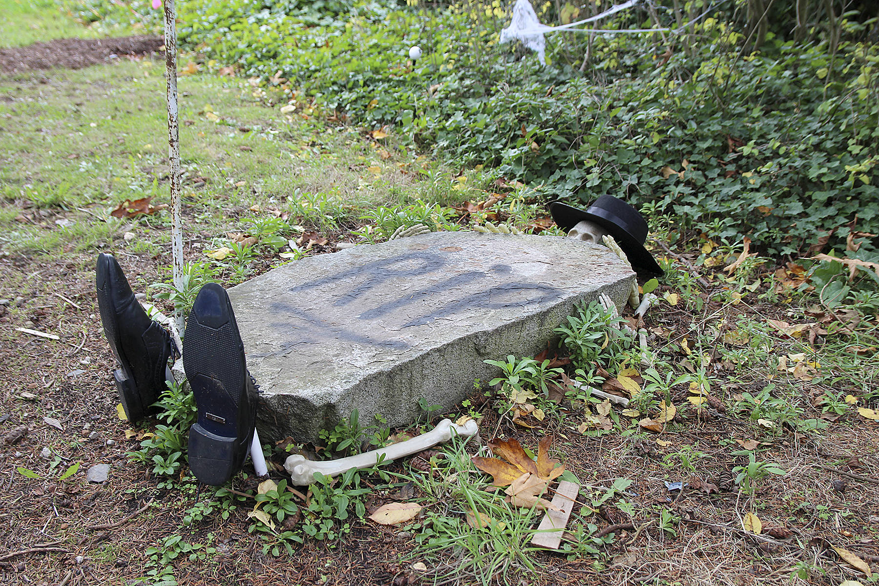 Haller House is haunted for Halloween