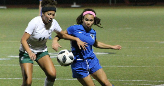 Falcons beat Bear Creek at bi-district; 1 win from state / Soccer