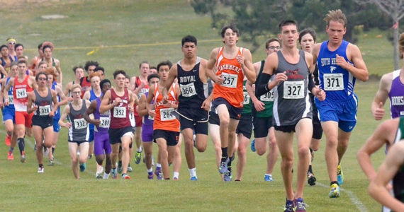 Falcons shine at state meet / Cross country