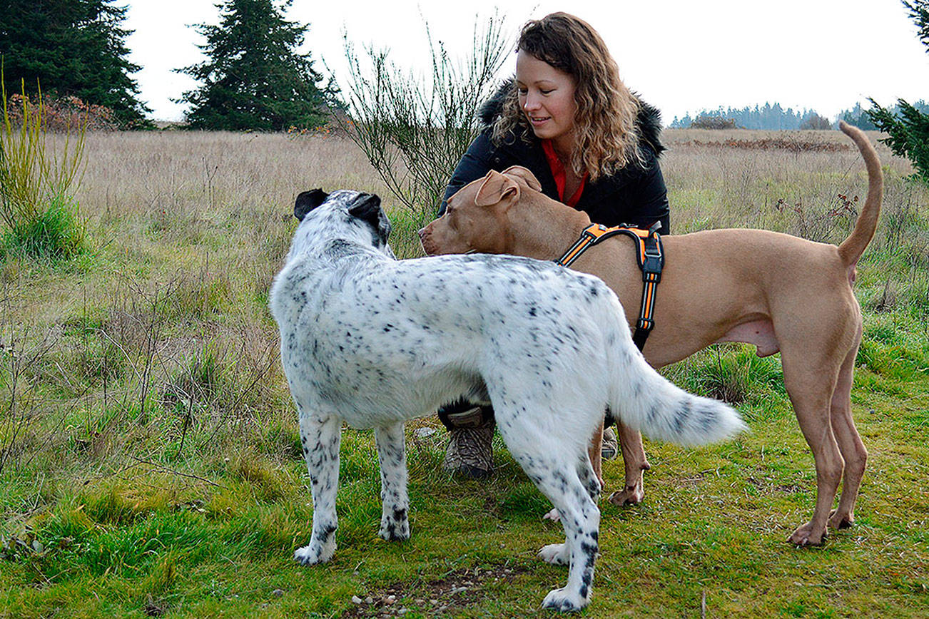 Residents show dogged support for off-leash park at Greenbank Farm