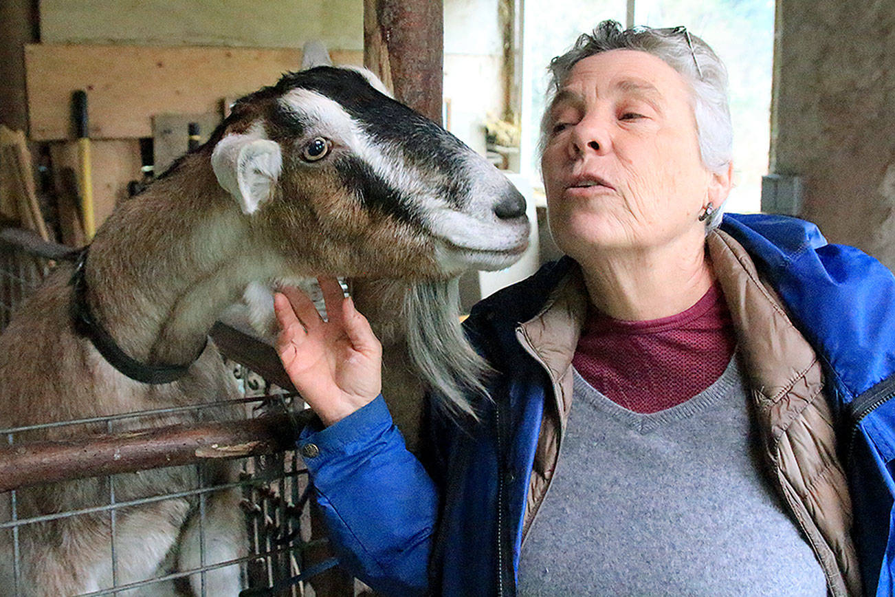 Farmers milking the opportunity to teach about goats