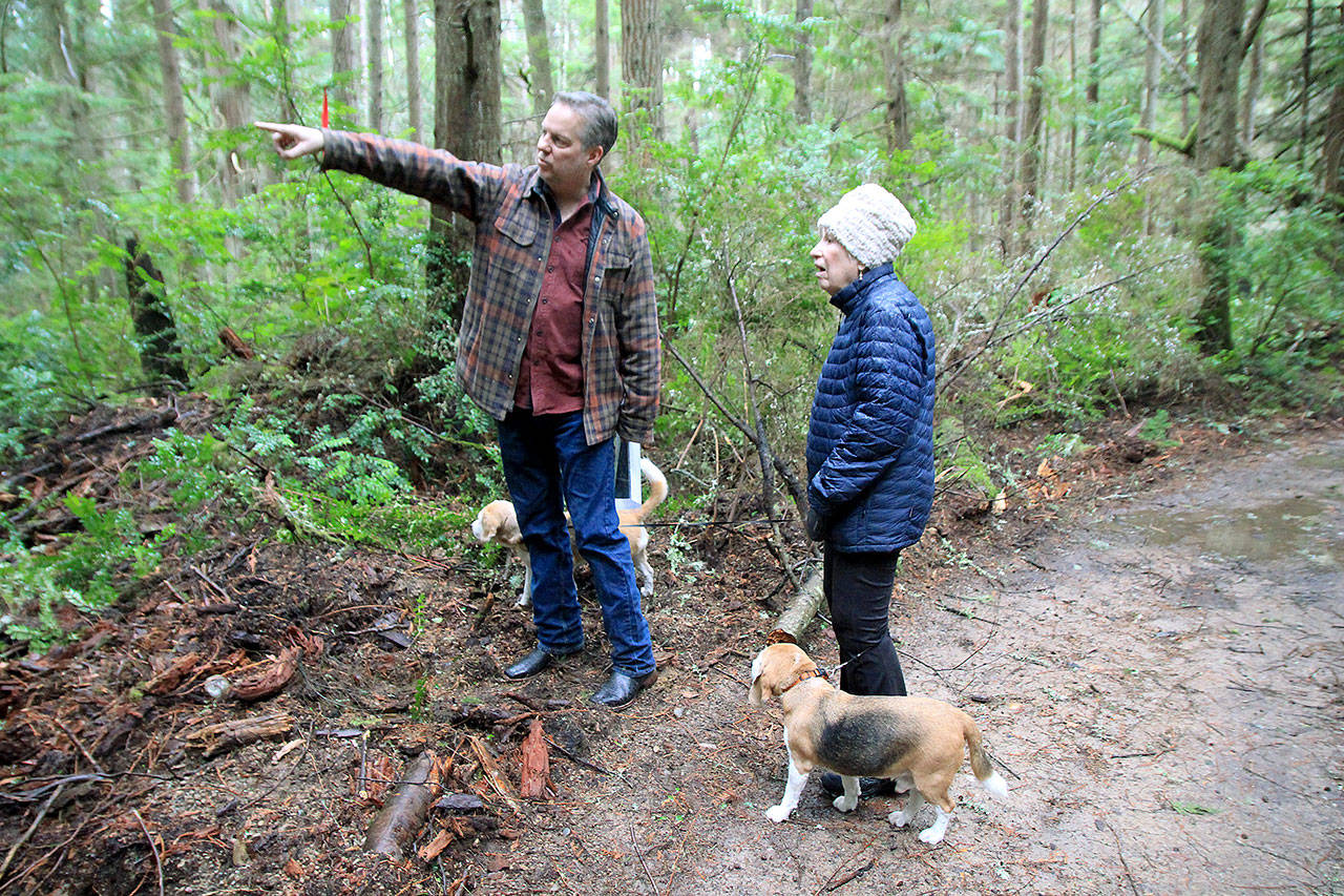 Photo by Kira Erickson / Whidbey News Group                                South Whidbey Parks and Recreation Executive Director Doug Coutts shows resident Jan Marshall-McConnell and her two dogs the location of the naturally occurring Pacific yew tree along the new trail Jan. 6.