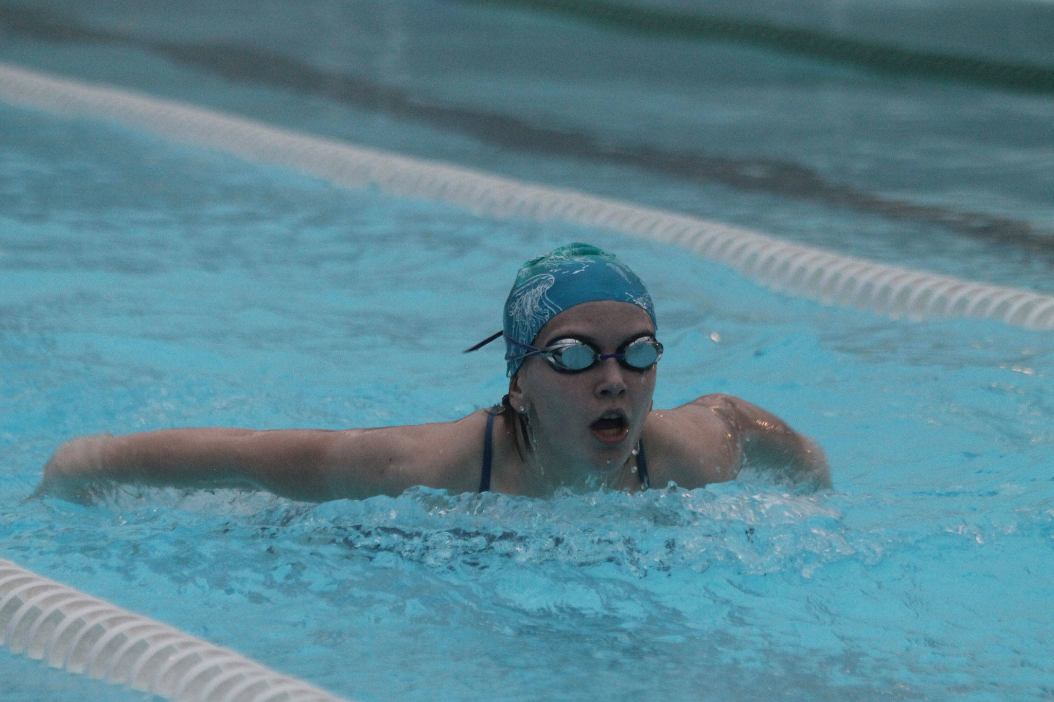 Zetta Pendergast swims the 50-yard butterfly at the South Whidbey Swim Club meet Tuesday.(Photo by Jim Waller/South Whidbey Record)