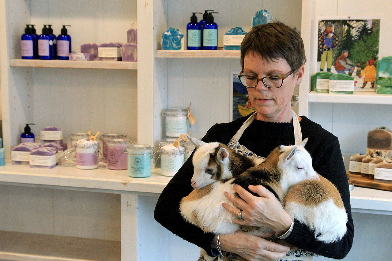 Photos by Kira Erickson/Whidbey News Group                                Owner Molly Jacobson holds recently born twin goats in her store.