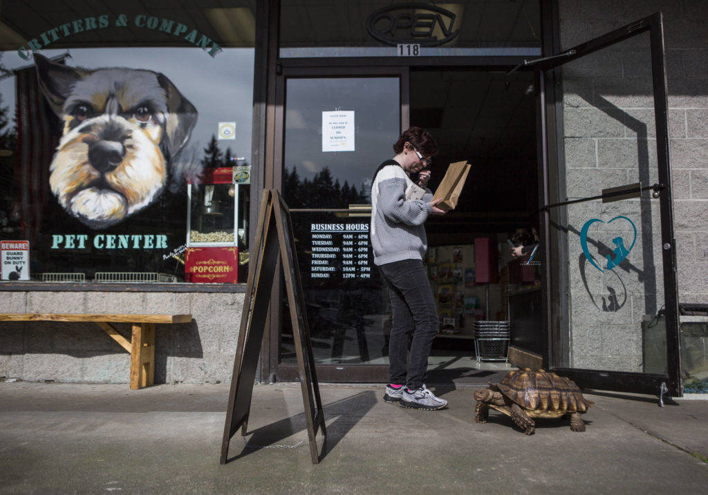 Pet shop where tortoise lives open for business South Whidbey Record