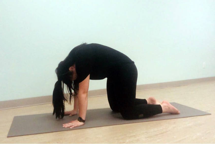 Local experts are providing advice during quarantine