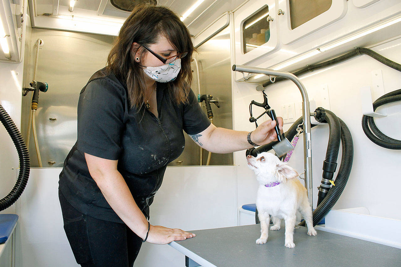 New wheels add shine to grooming biz