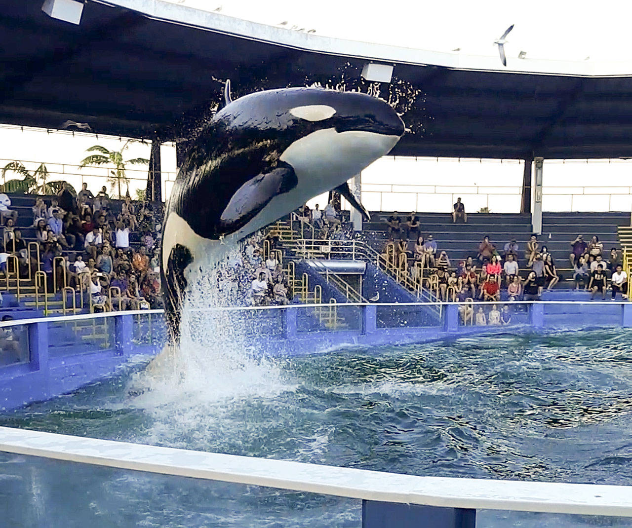 50 years since bloody roundup