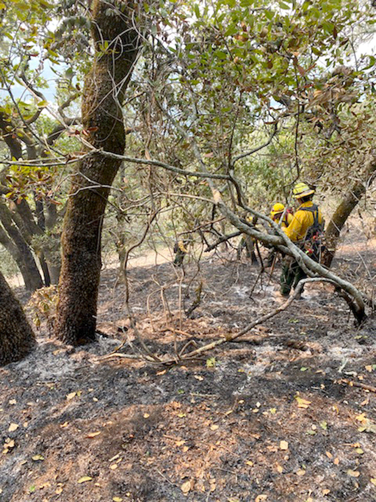 North Whidbey firefighters were recently assigned to battle flames in the Glass Fire near Napa Valley. Photo provided by North Whidbey Fire and Rescue.