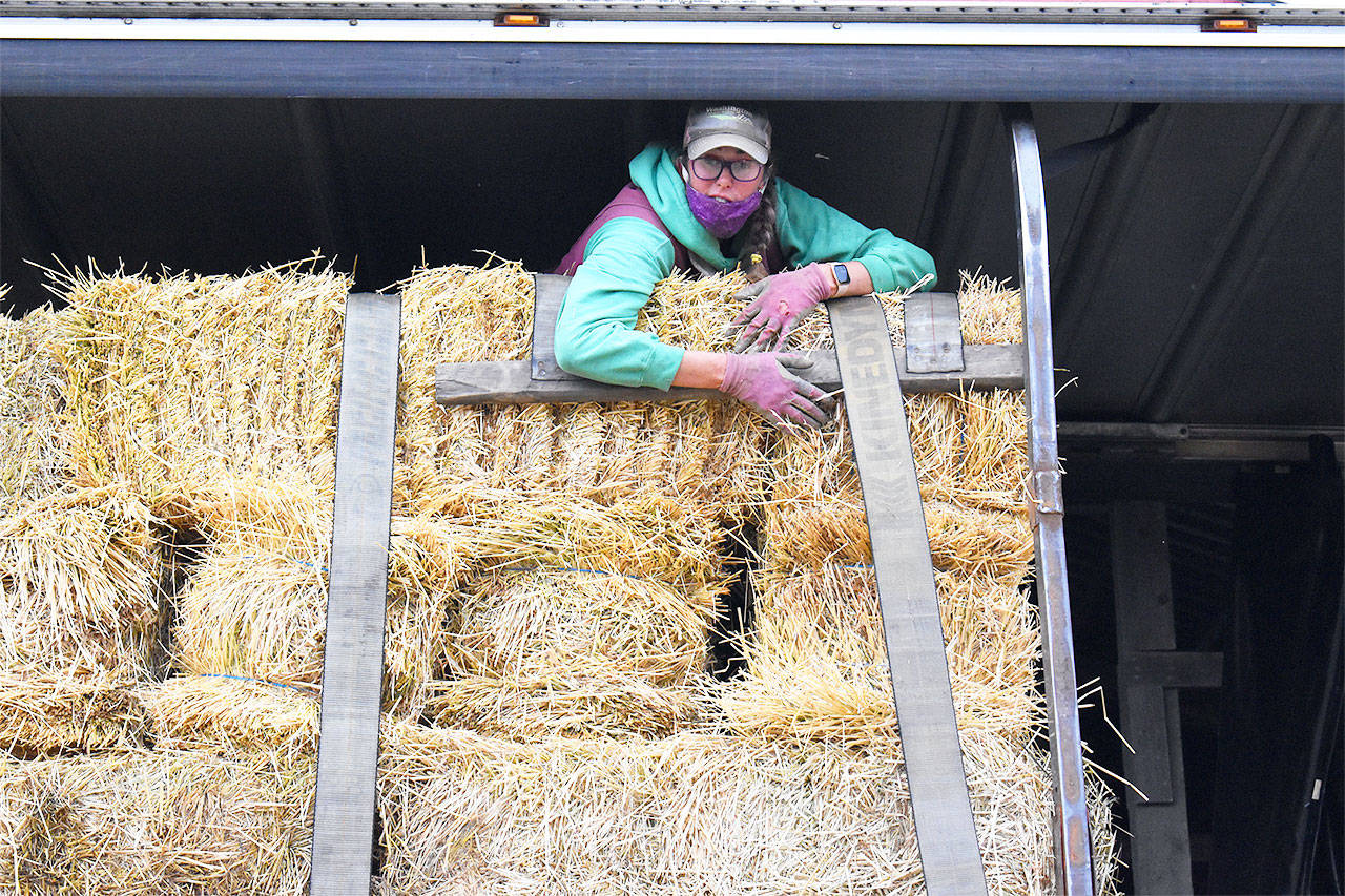 Making hay to help farmers set back by wildfires in Eastern Washington