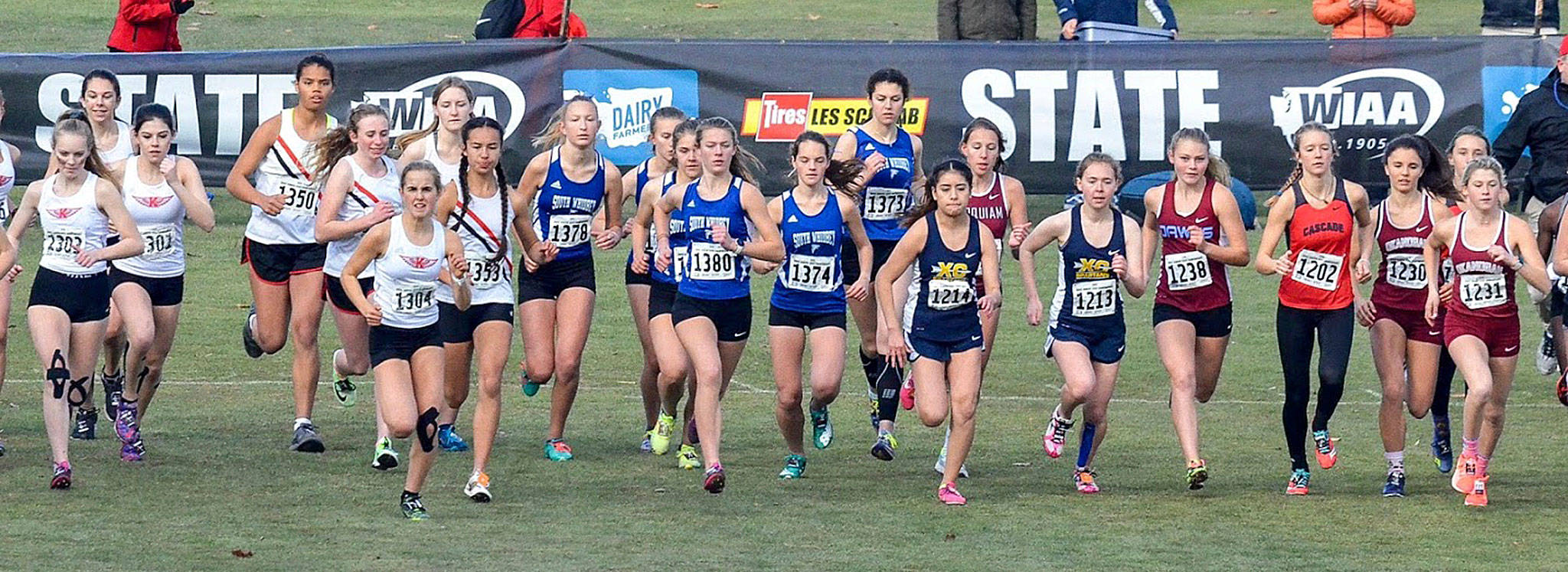 The South Whidbey girls team, center, take off at the start of last year’s state meet. The Falcons, from the left, are Laila Gmerek, Natalie Rodriguez, Grace Huffman, Kaia Swegler Richmond, Jasmin Graner and Flannery Friedman. (Photo by Karen Swegler)