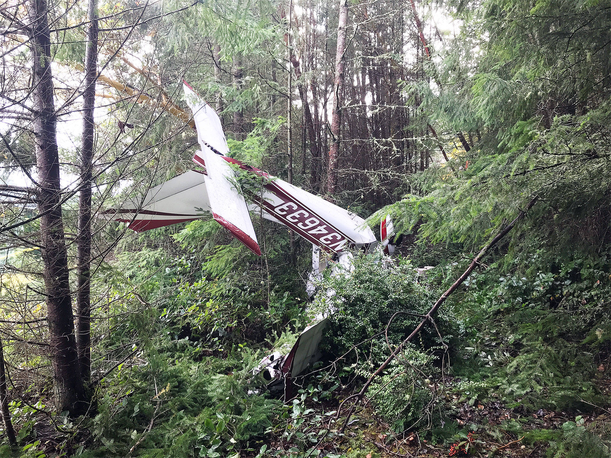 Two people were killed when a single-engine Cessna 177 Cardinal airplane crashed at the Whidbey Airpark near Langley in November. File photo by Island County Sheriffs Office
