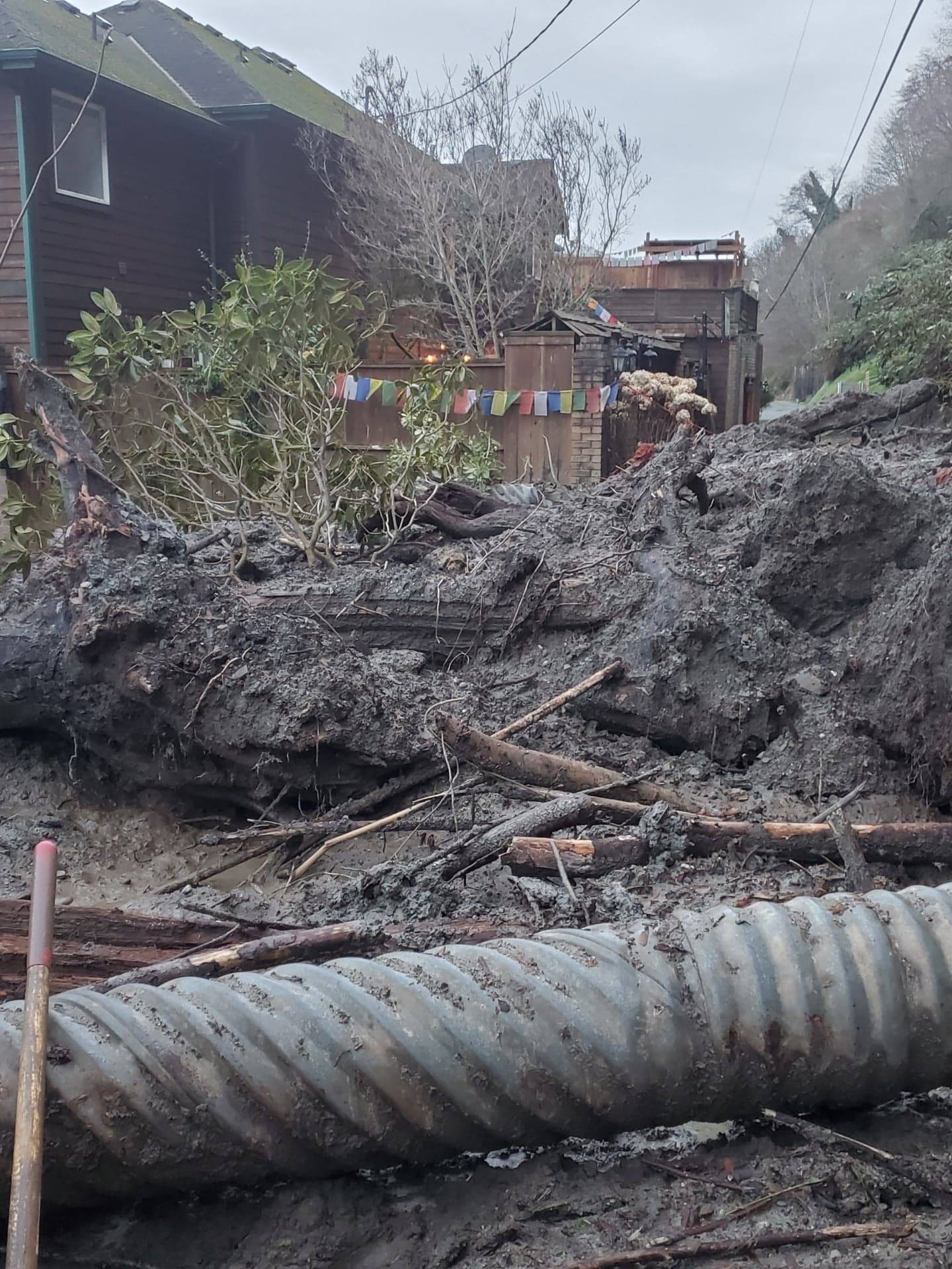 The past two weeks of rainy weather have caused two landslides near Eugene Elfrank’s Hastings Road residence in Clinton. Fire department officials said landslides are nothing out of the ordinary for this time of year for certain areas of Whidbey. Pictured here is the debris from the most recent slide that happened Monday night. Photo provided by Eugene Elfrank