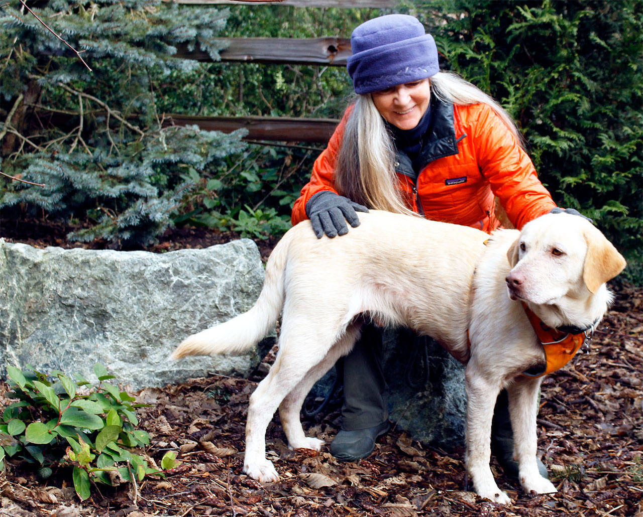 Elizabeth Johnson focuses her healing energy on rescue dog Wilbur. Her practice specializes in treating animals. Photo by Kira Erickson/Whidbey News-Times