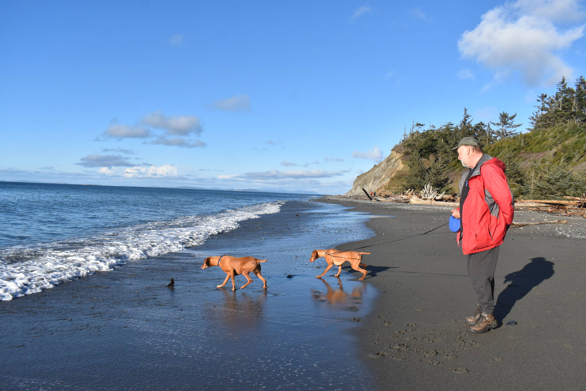 Photo by Emily Gilbert
Chessie and Calamity of Missoula, Montana touched the ocean for the first time at Fort Ebey State Park, according to owner Bill Hoff. The park is one of 28 state parks the Navy has identified as a training site in its new proposal.