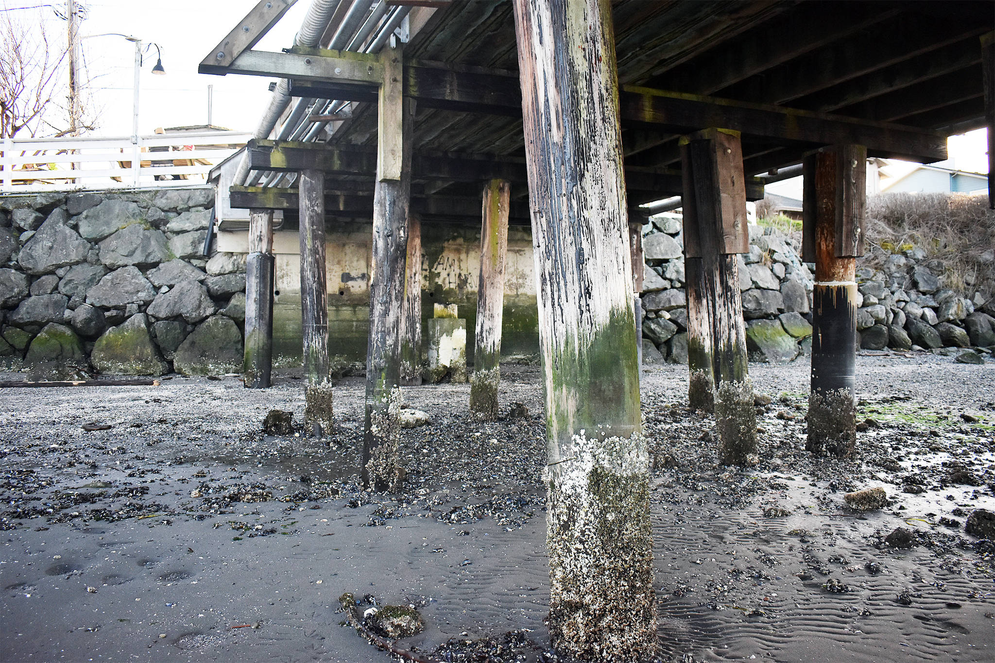 Photo by Emily Gilbert/Whidbey News-Times
Federal permit approval is the last things standing in the way of the Port of Coupevilles cap and pile project for the Coupeville Wharf. Executive Director Chris Michalopoulos hopes that approval will come soon so crews can begin the estimated three-week project to replace the decaying foundation for the century-old building.