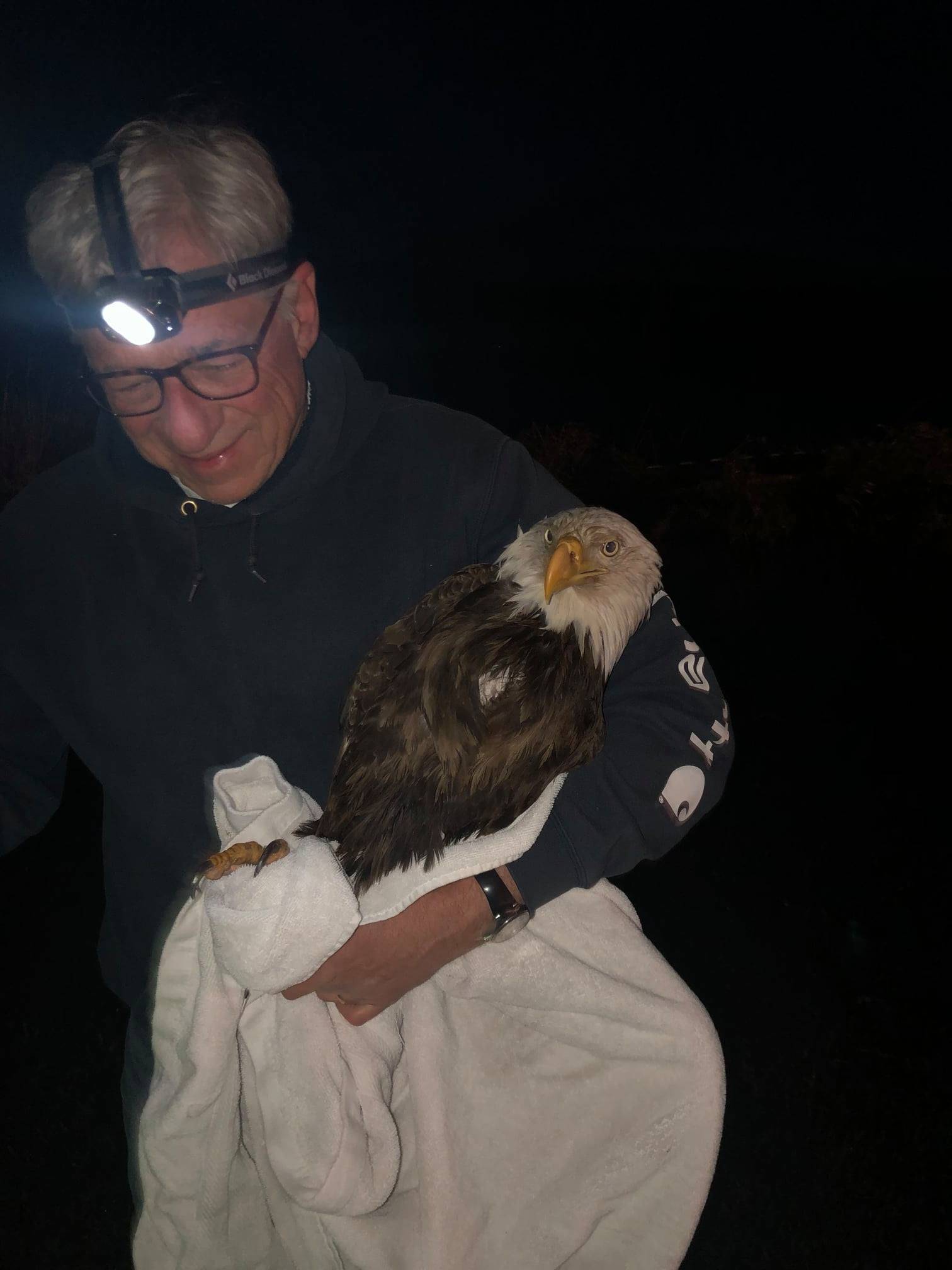 Dr. David Parent with the eagle he rescued near Lone Lake Sunday night. Photo provided