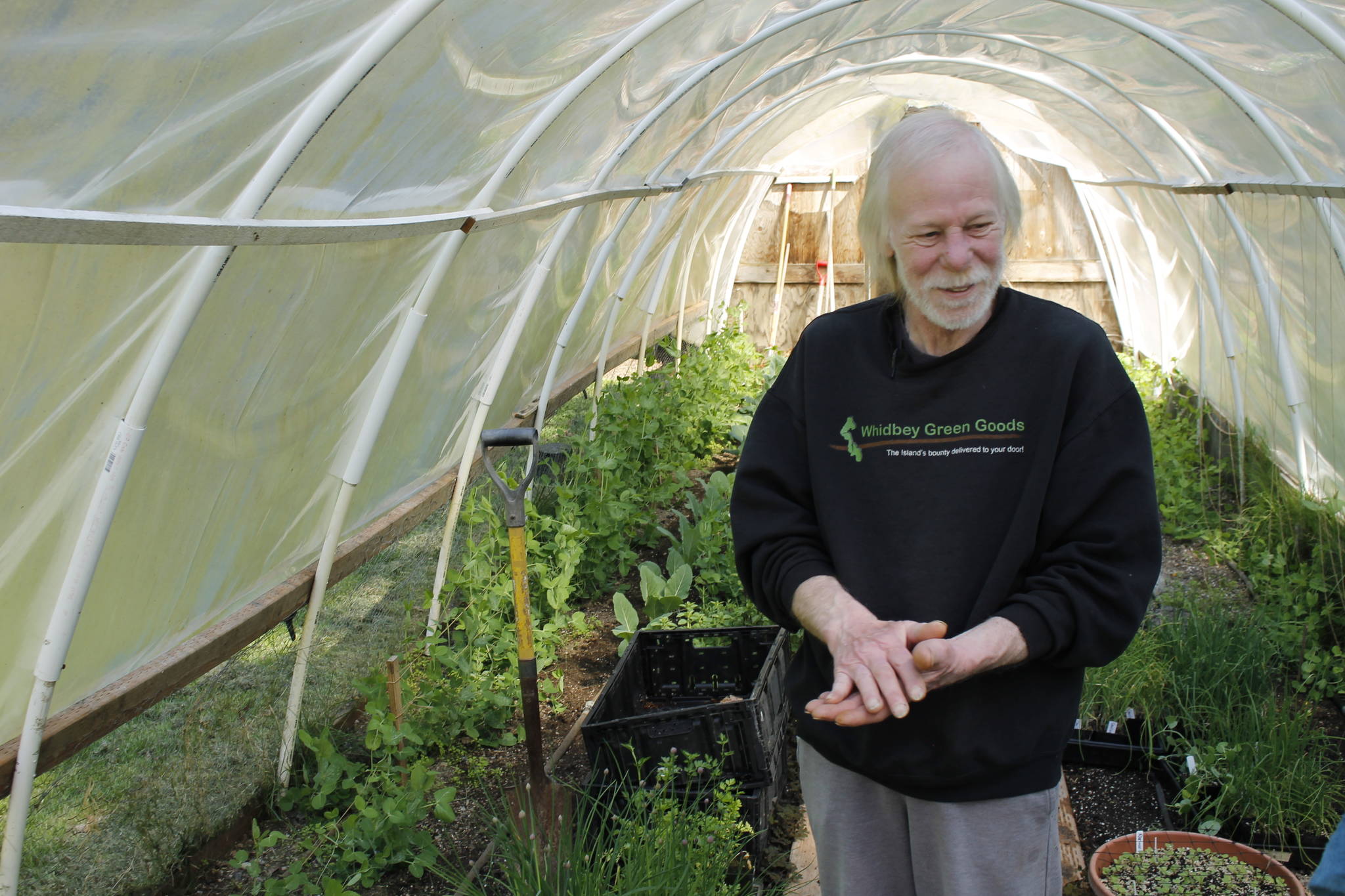 Michael Nichols, owner of Whidbey Green Goods, stands in his hoop house, also known as “The Hovel.” Customers visit the Clinton farm to pick up their own produce and plant starts. (Photo by Kira Erickson/Whidbey News Group)