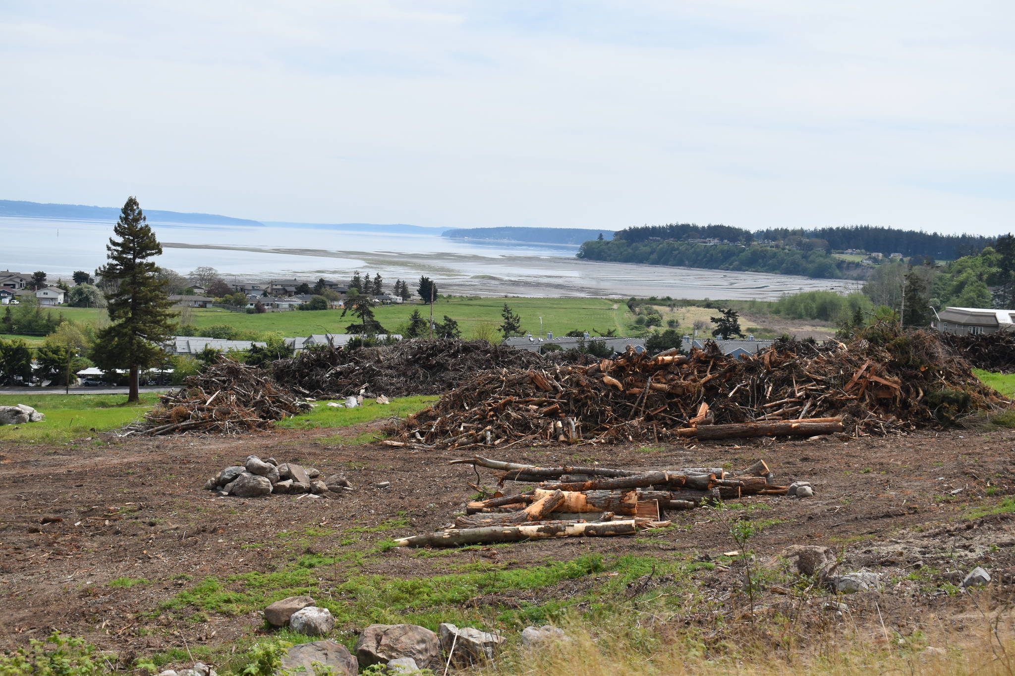 After a delay caused by the pandemic, developer Scott Thompson said construction of new homes may begin soon on the hillside across from Safeway. Photo by Emily Gilbert/Whidbey News-Times