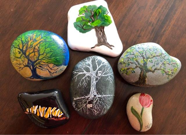Members of the public and Whidbey Island Rocks are encouraged to paint and hide stones with Garry oak designs or other local flora and fauna this week in preparation for a hunt Saturday. Photo by Jane Geddes