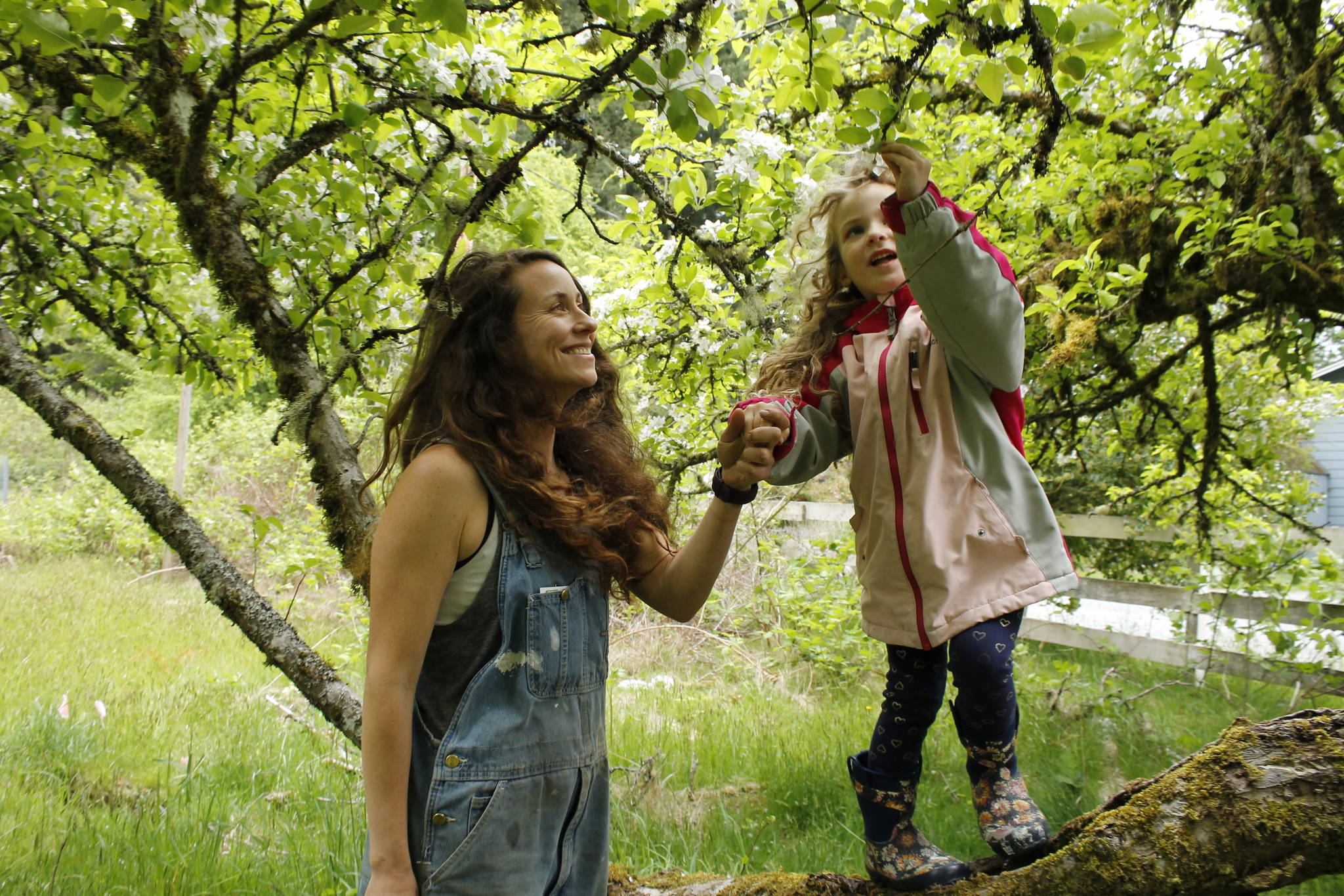 Aja Stewart and her daughter Rainey, 4, search for bees in a tree in bloom at Sweetwater Farm in Clinton. (Photos by Kira Erickson/South Whidbey Record)