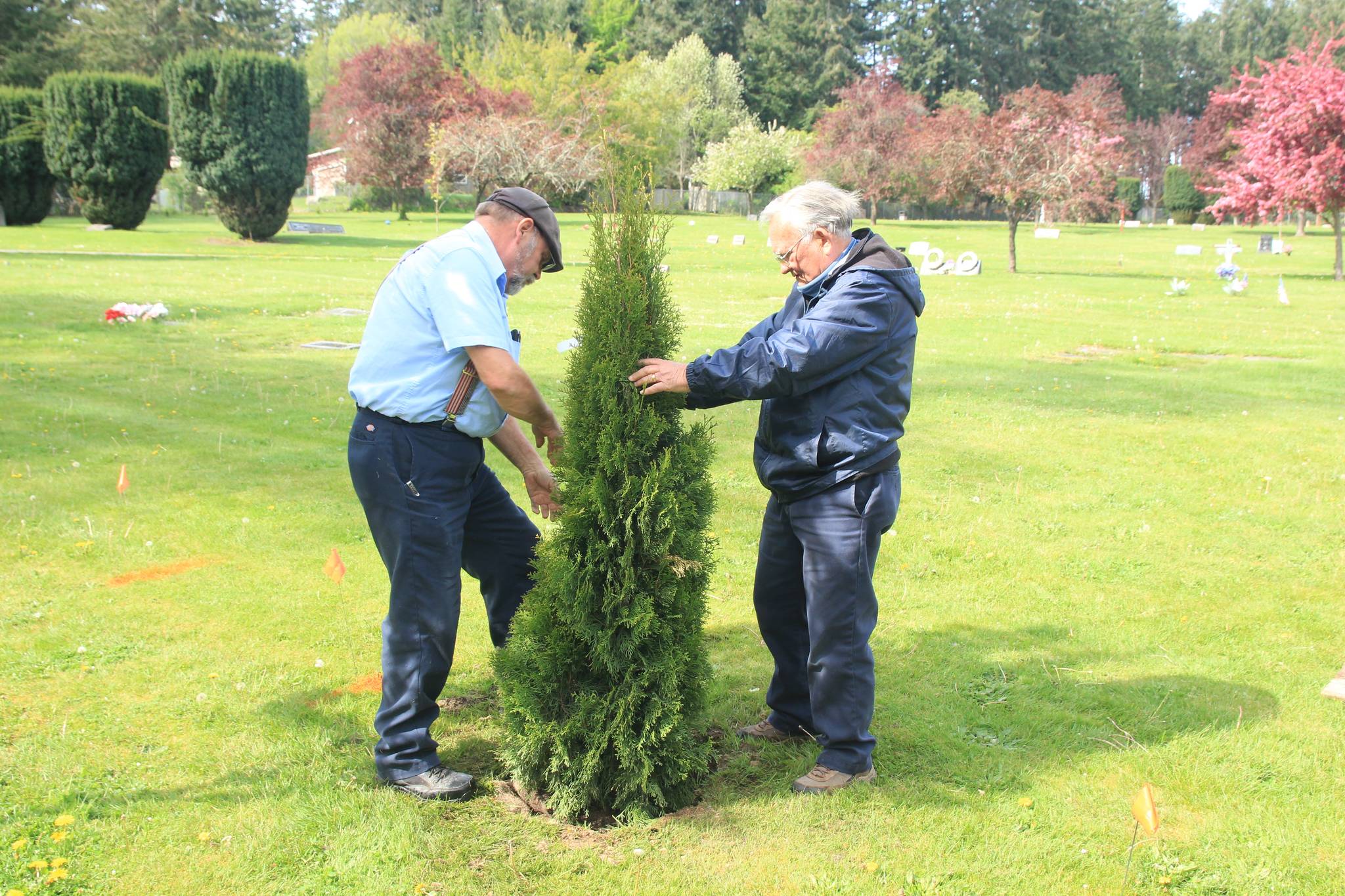 Cemetery offers trees as way to memorialize their loved ones South