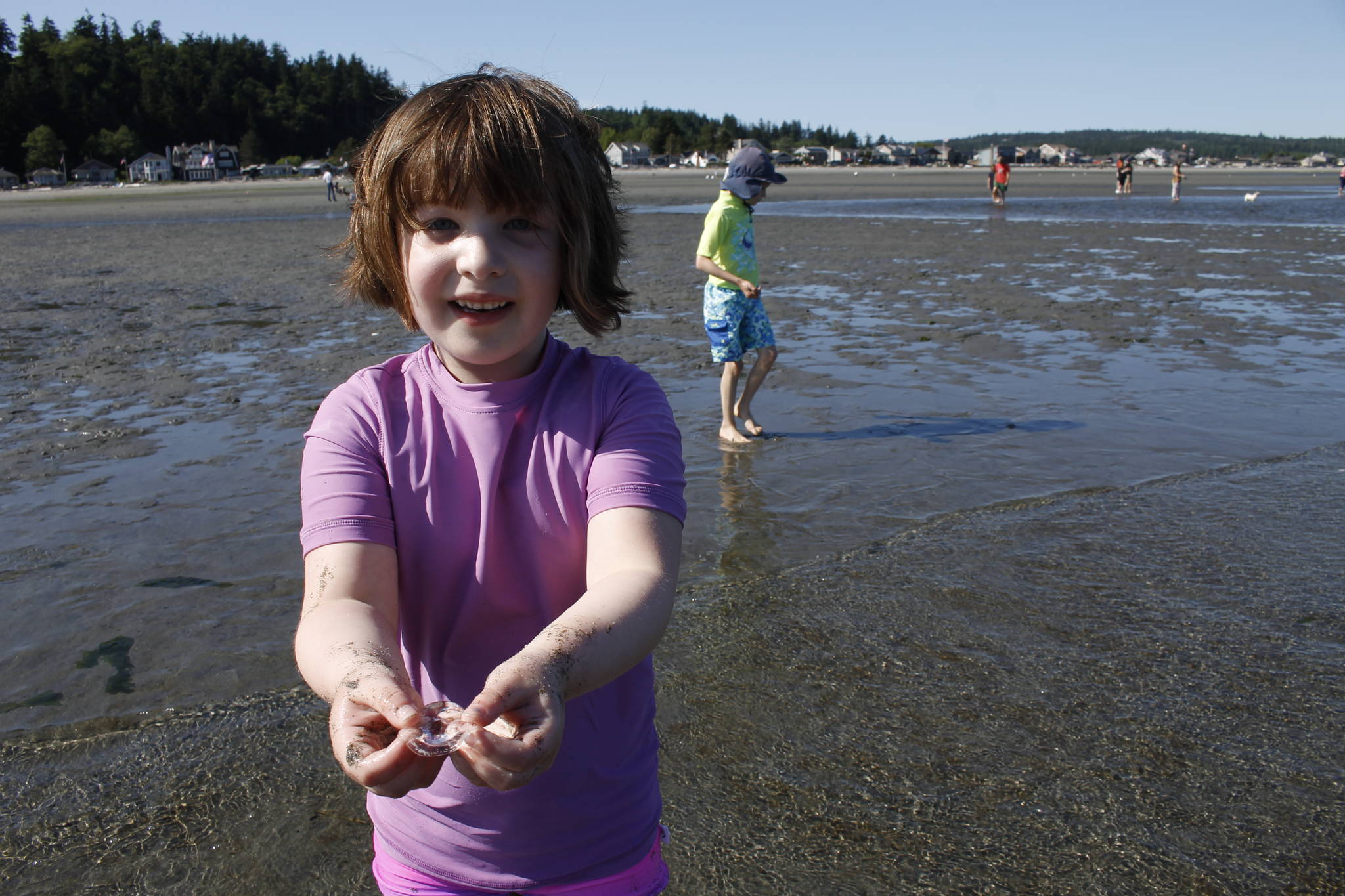 While enjoying the sunny weather Wednesday at the public beach at Double Bluff in Freeland, Grey Fortney, 7, shows off a jellyfish she collected to release back into the water. (Photos by Kira Erickson/South Whidbey Record)