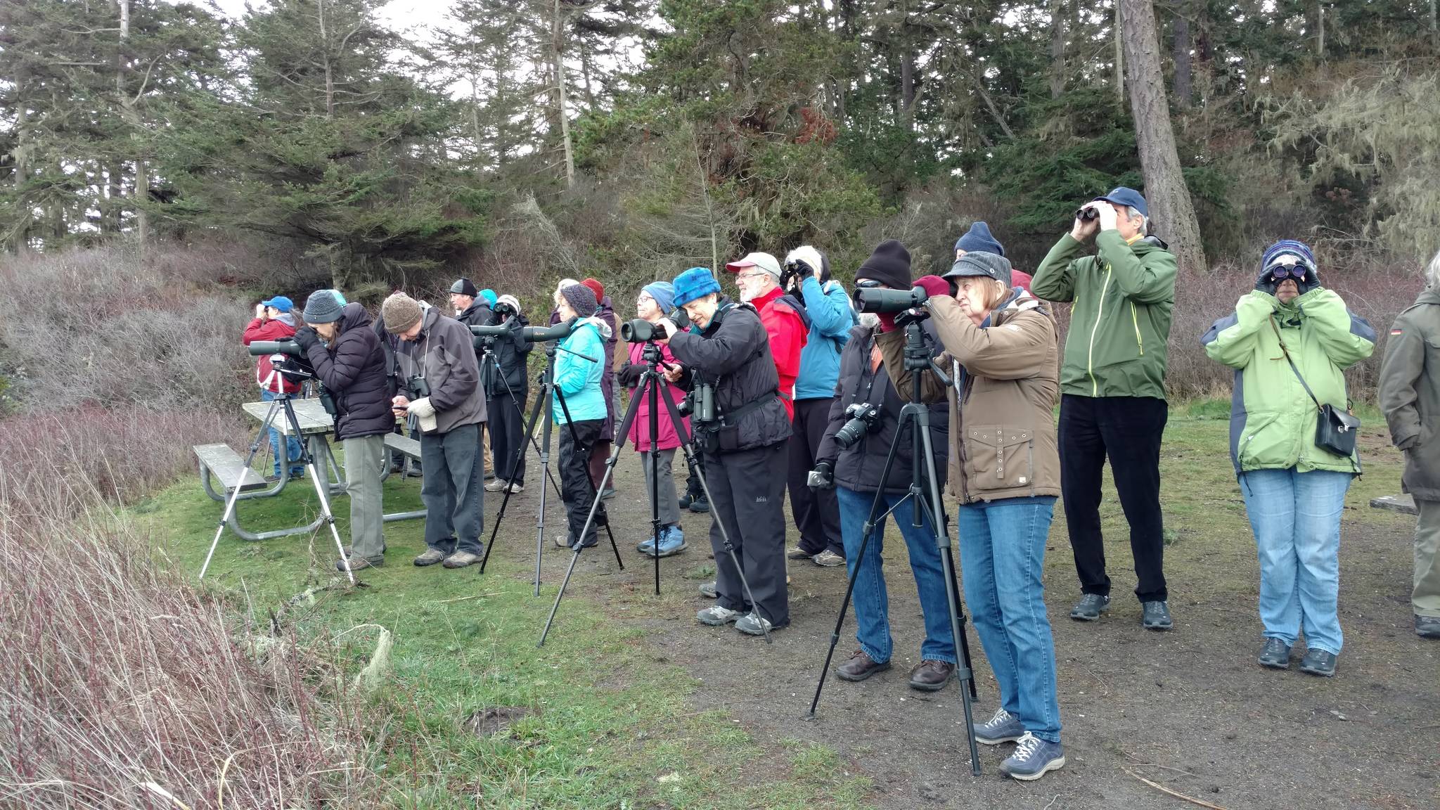Birdwatchers participate in a Whidbey Audubon Society field trip at Deception Pass. (Photo by Joe Sheldon)