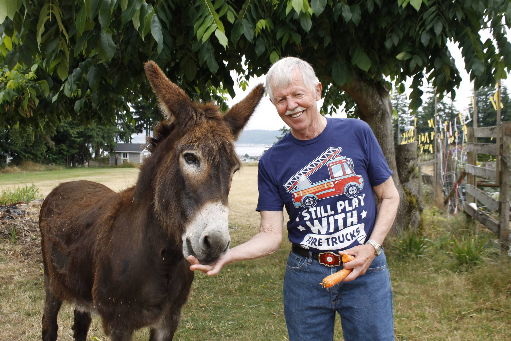 Gary Gabelein, this year’s grand marshal of the Whidbey Island Fair parade, with his donkey, Cleopatra. (Photo by Kira Erickson/Whidbey News-Times)