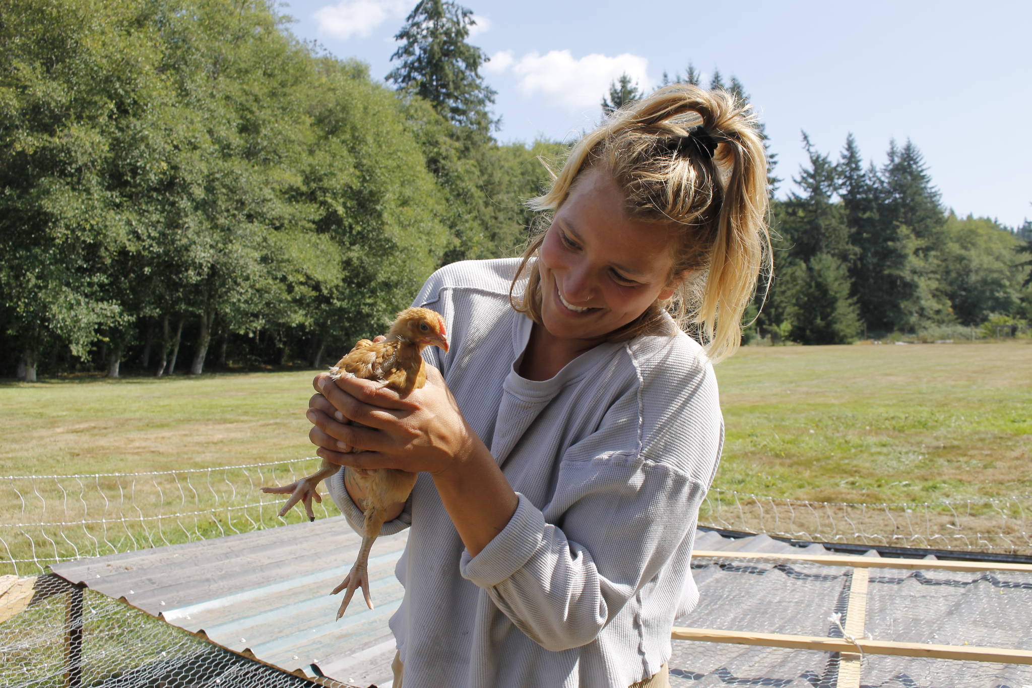 Organic Farm School student Shannon Waller holds a 5-week-old broiler chicken. (Photo by Kira Erickson/South Whidbey Record)