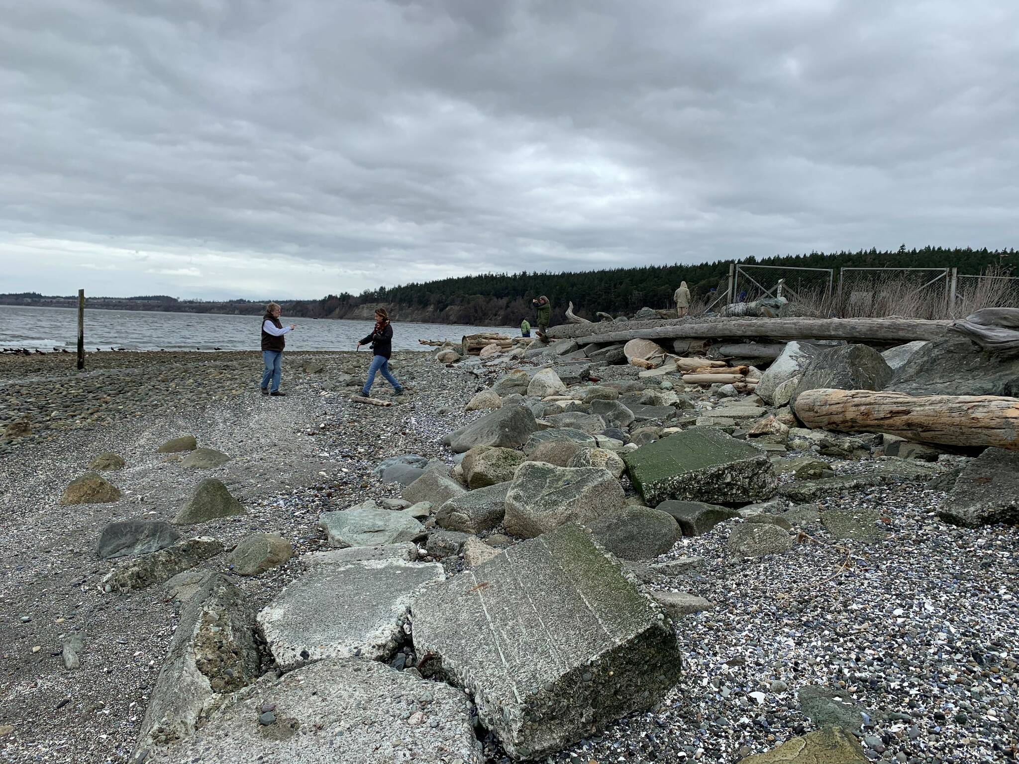 Recreation and Conservation Office photo
Shore armoring will be removed from Navy property on Polnell Point.