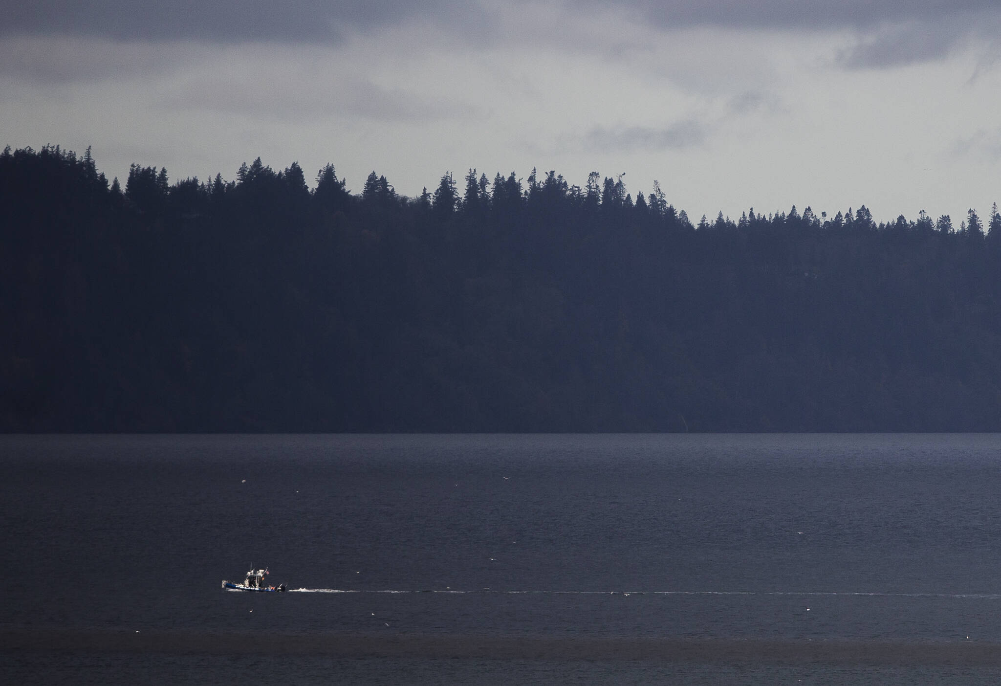 A police boat crosses Possession Sound on Wednesday to Hat Island, where the body of a man was found in Puget Sound. A kayaker was reported missing on Tuesday. (Olivia Vanni / The Herald)