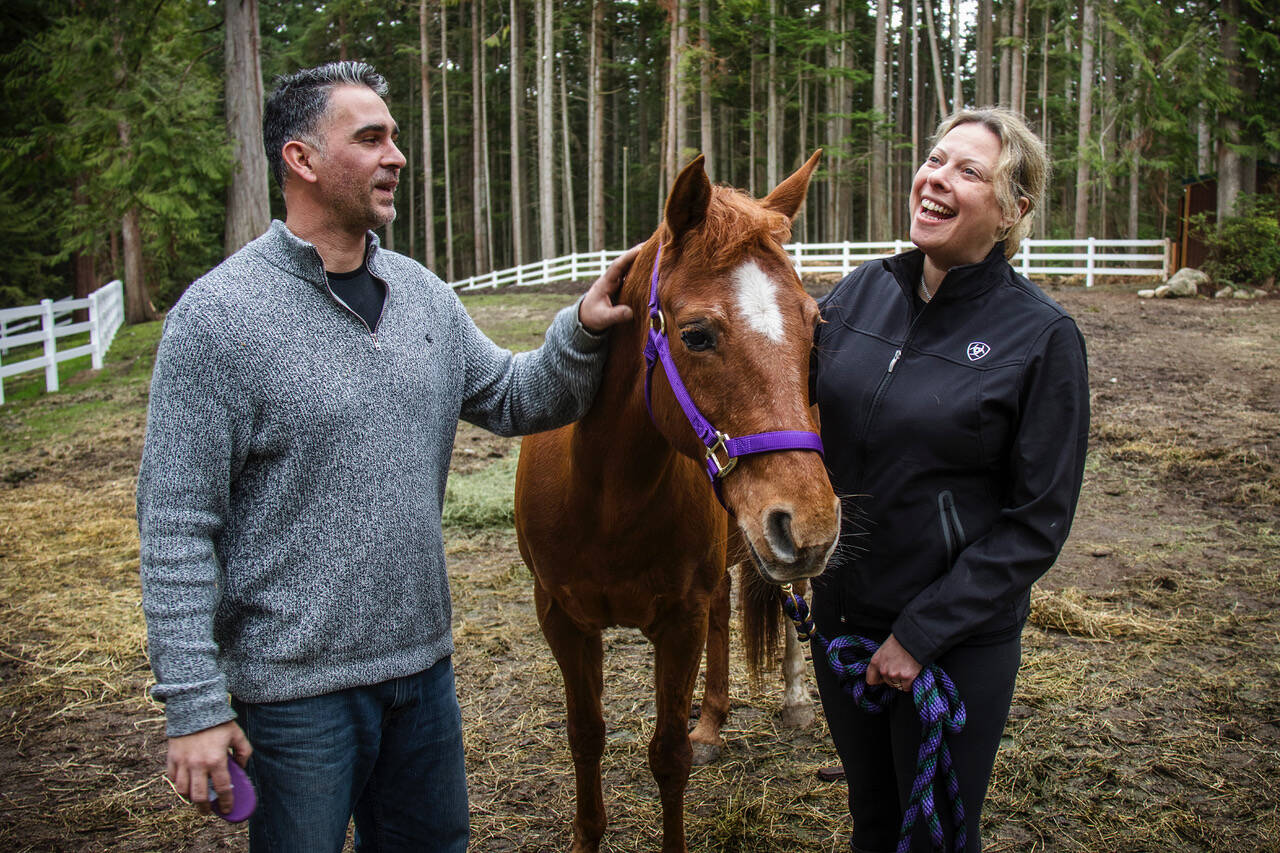 Photo by Dave Welton
Drew and Beth Breton, pictured here with 12-year-old Reba, are the owners of the brand-new Kiseki Horse Rescue in Clinton. Horses are rehabilitated, often coming from difficult situations, and rehomed with loving families.