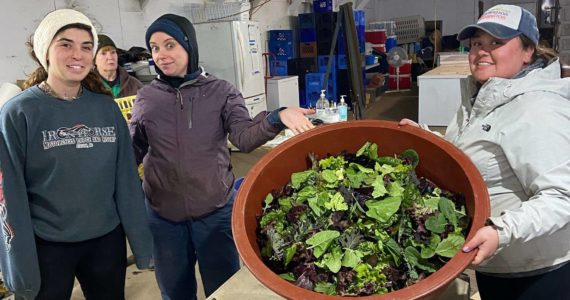 Photo provided
From left, Bell’s Farm workers Elly Hammond, Sheyanne Mcconal and Misty Diehl brave the cold earlier this month to harvest spinach and other leafy greens, which are among those crops which thrive in cooler temperatures.