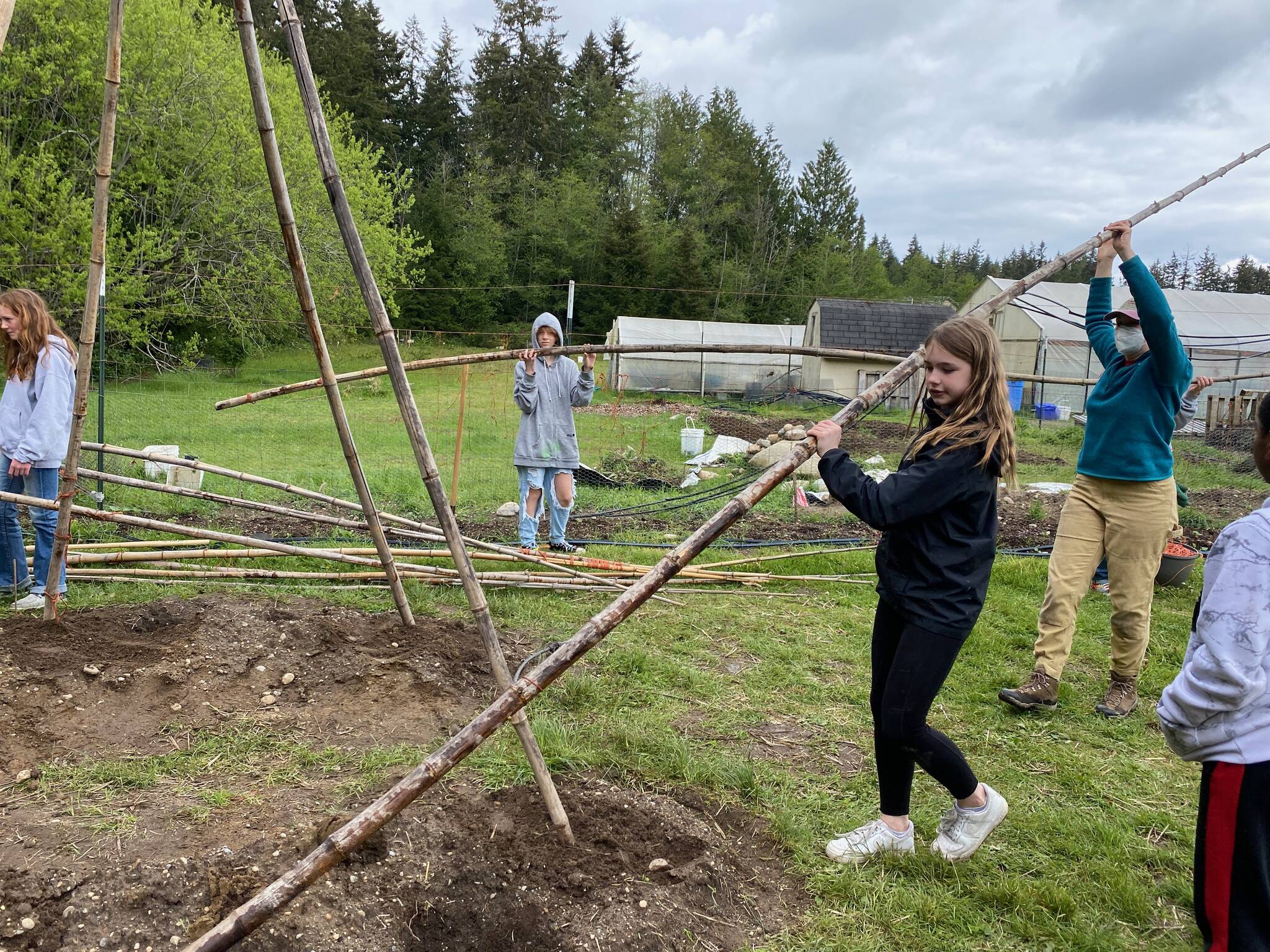 Photo by Cary Peterson
Sixth grader Ellie Aernie and AmeriCorps Service Member Lily Cowan, right, put a bamboo pole into place for the teepee-like structure scarlet runner beans will grow on.