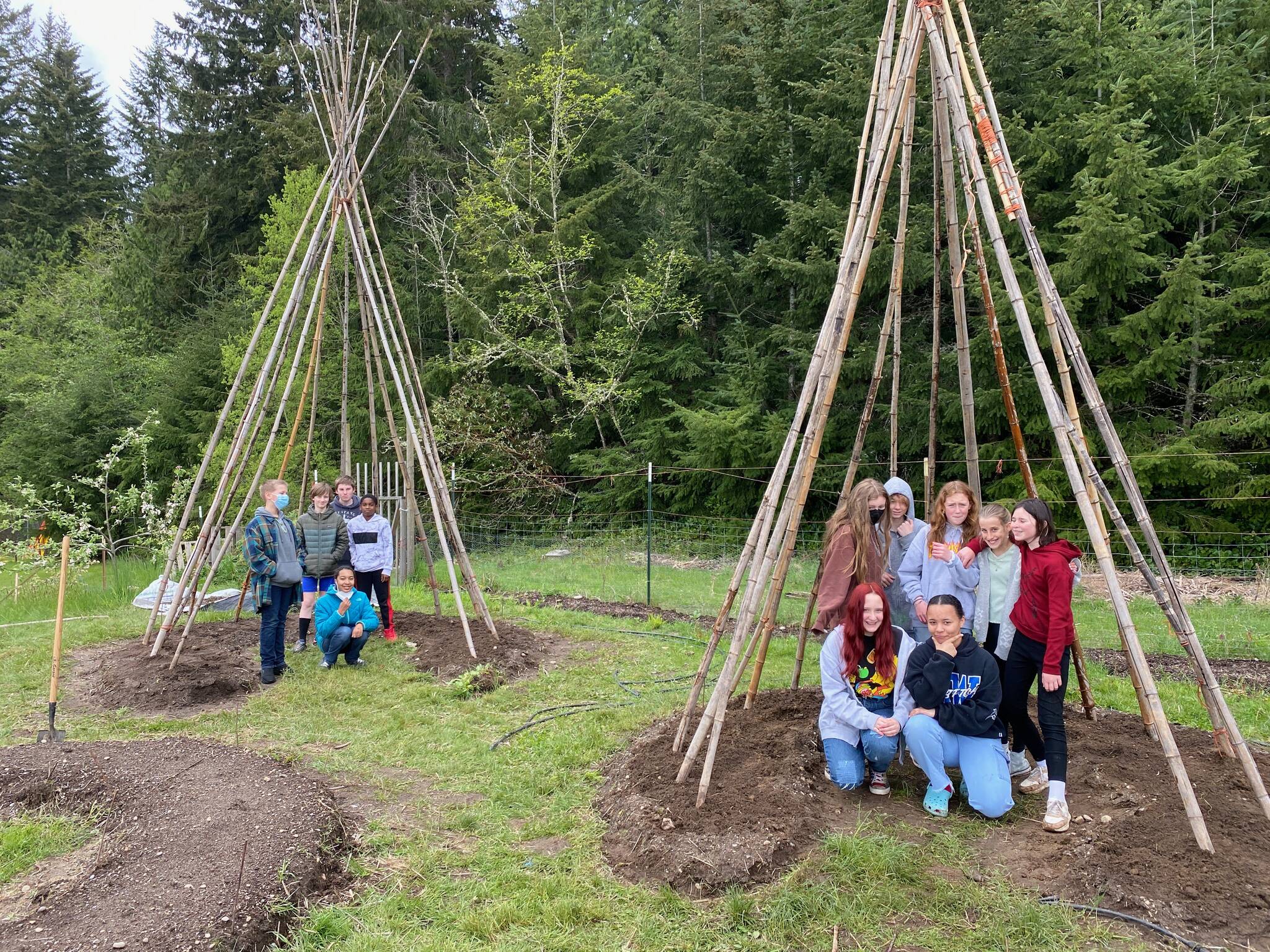 Photo by Cary Peterson
Sixth graders proudly pose under the teepee-like structures they helped build for scarlet runner beans to grow on. The school farm program of the South Whidbey School District has had a busy spring.
