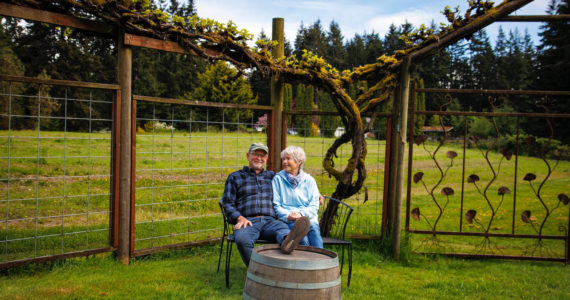 Photo by David Welton
Greg and Elizabeth Osenbach sit before their empty vineyard. The last harvest of the year has happened for Whidbey Island Winery, which will be ceasing production and retail operations this year.