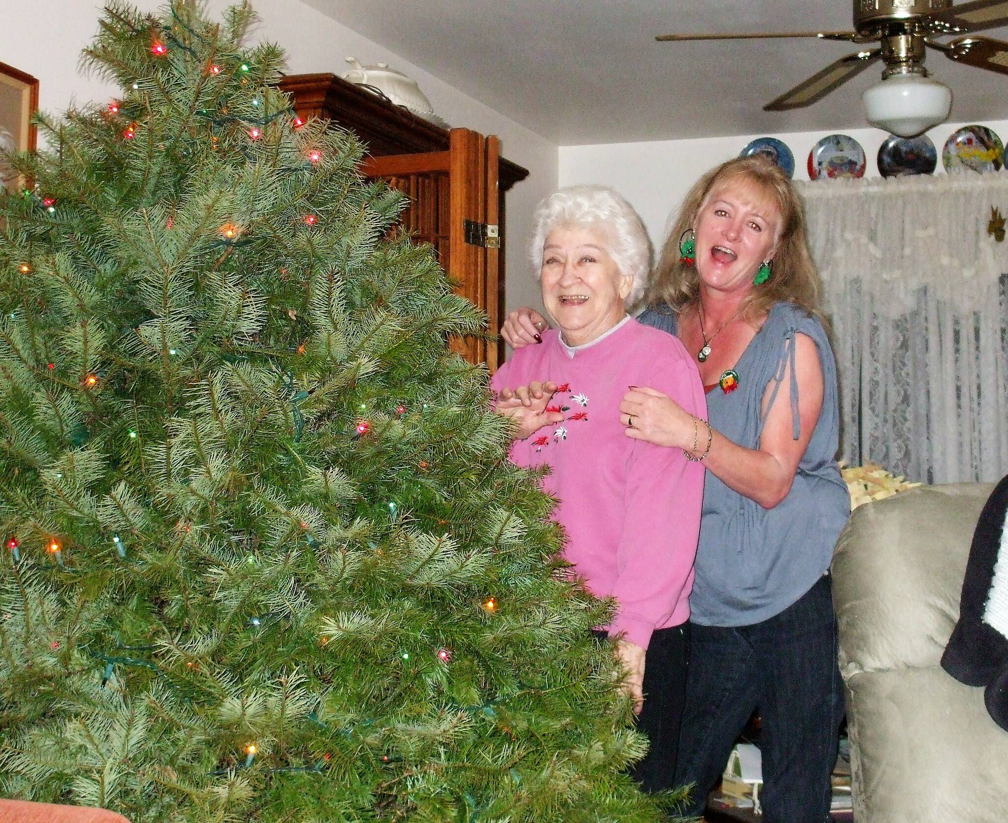 Jeanine Lee Cook-Dyer obituary photo