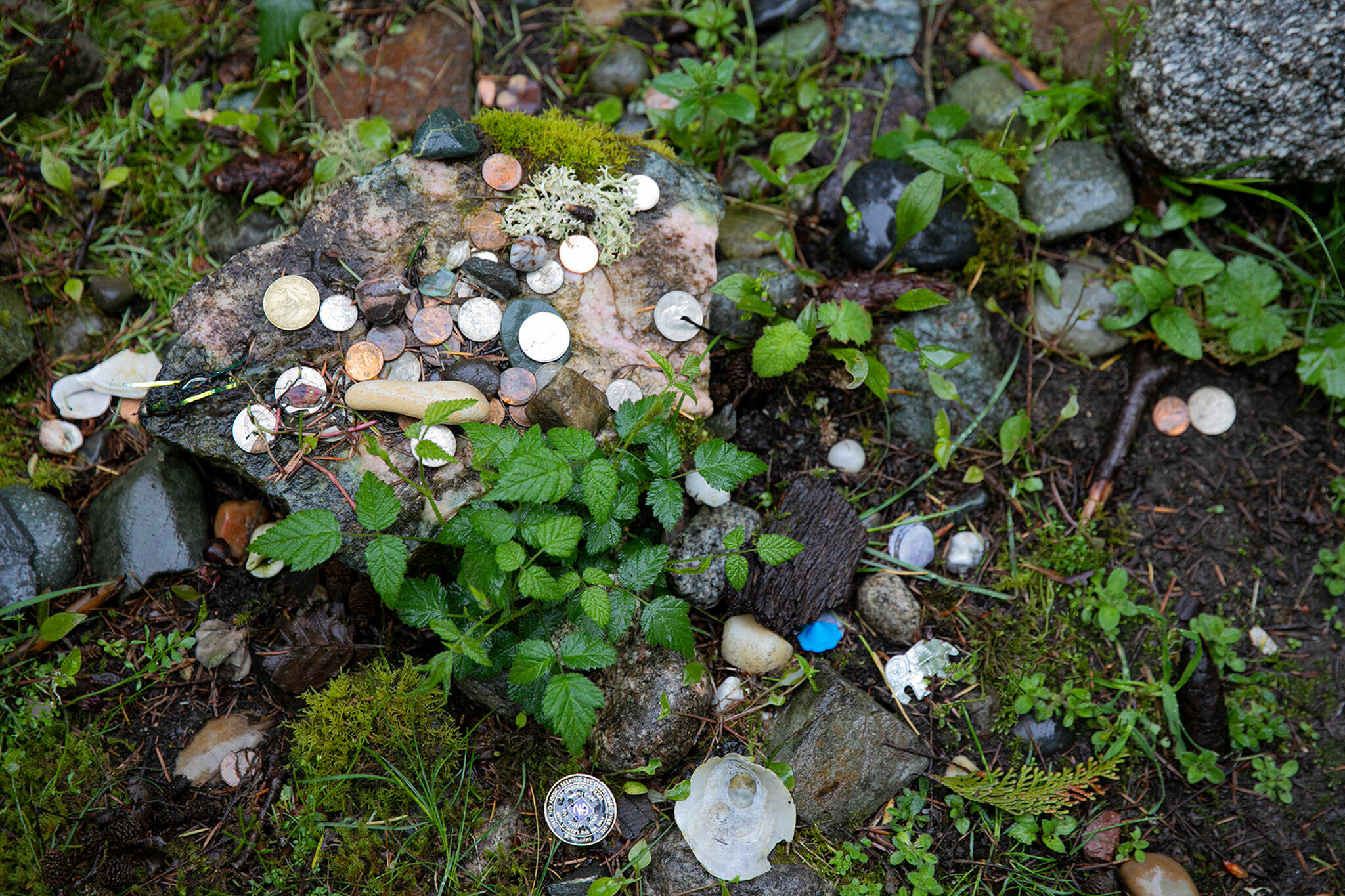 Coins and other offerings from guests are laid at the center of a stone circle at Earth Sanctuary. (Ryan Berry / The Herald)