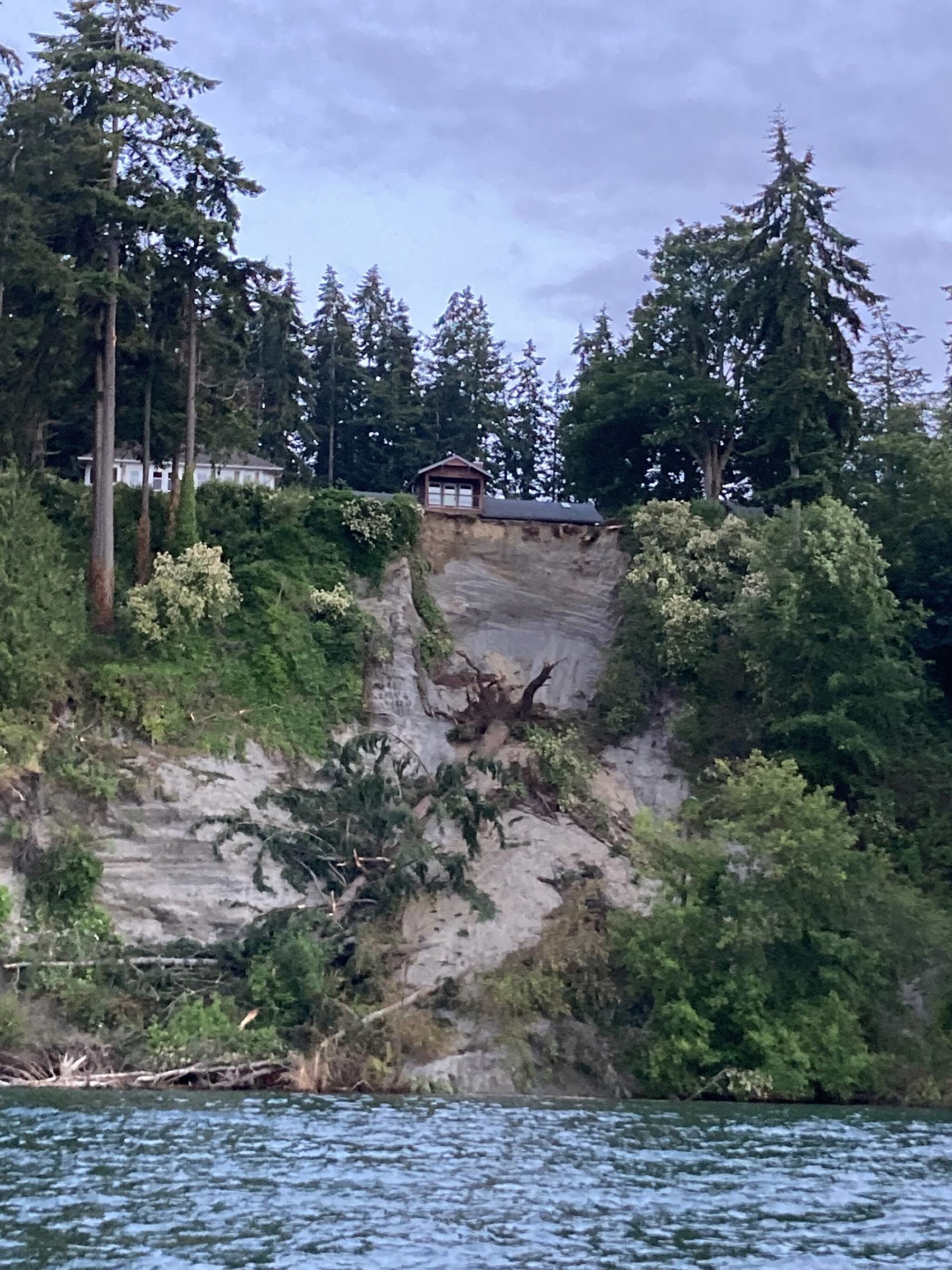 Photo submitted
A landslide on a bluff near Langley took out some trees.