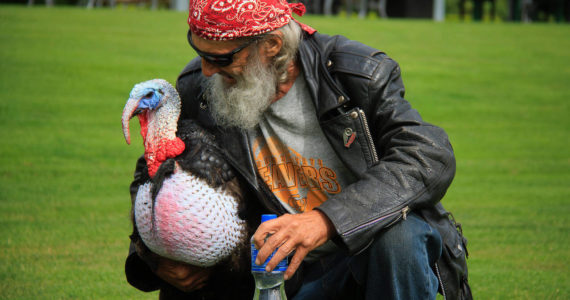 Photo by David Welton
South Whidbey resident Dan Weehunt has a word with Gertie, his 35-pound pet turkey, as they take a stroll in a park earlier this month.