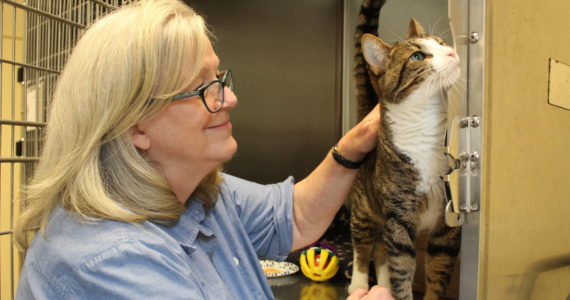 Photo by Karina Andrew/Whidbey News-Times
Shari Bibich, an animal advocate of three decades, will soon retire from her position as shelter manager at WAIF. Throughout her long career in animal welfare, she has helped thousands of dogs and cats find loving homes and receive critical care.