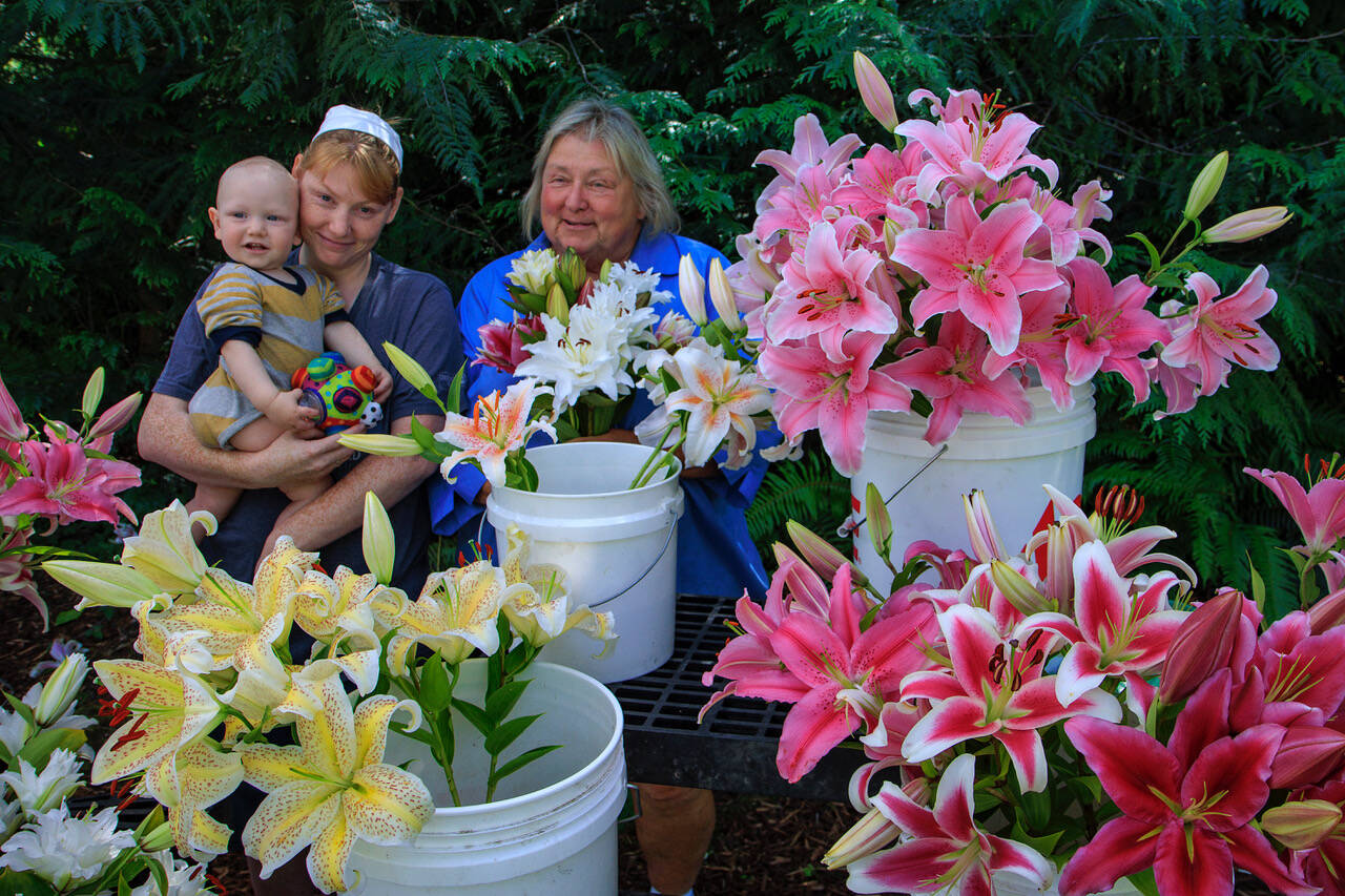Photo by David Welton
Melinda Creed, at left, her daughter Samantha and her grandson Maximilian prepare cut lilies to be sold at Moonstruck Gardens in Clinton.