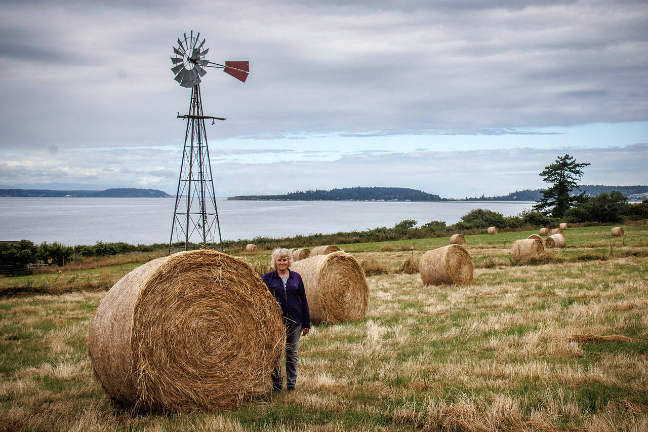 Photo by David Welton